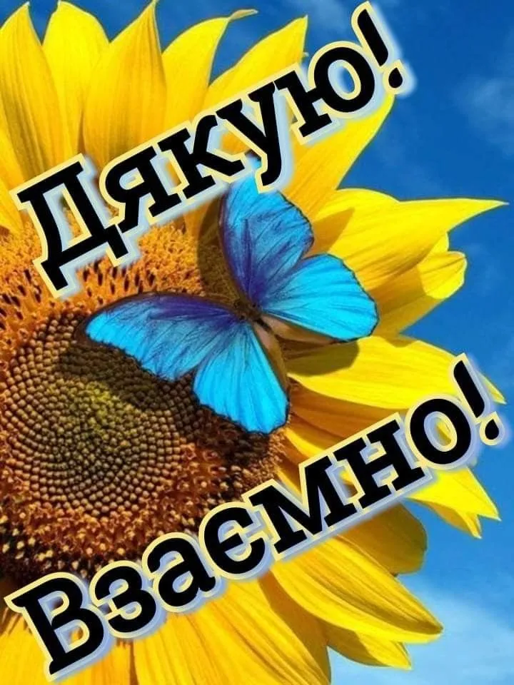 Листівка з подякою - за допомогу і підтримку, для месенджера Листівка з подякою - за допомогу і підтримку, для месенджера
